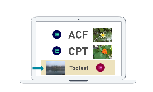 ACF Elementor