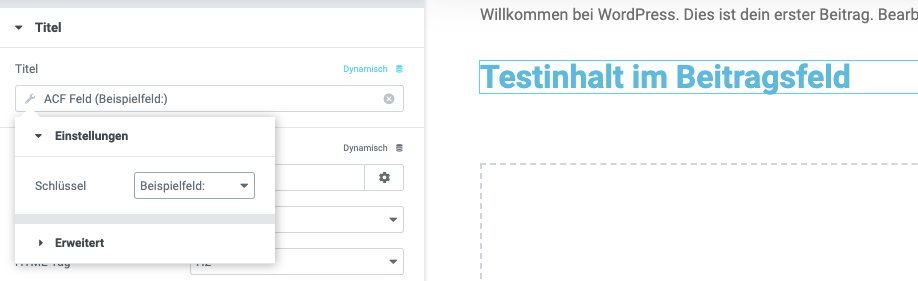 Elementor Feld dynamisch mit ACF füllen