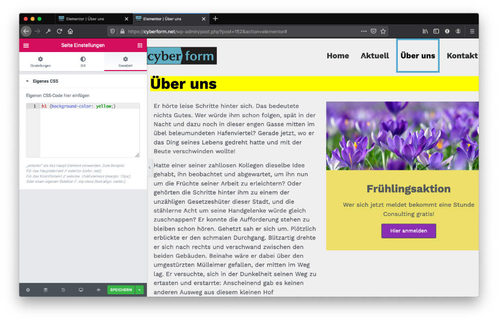 Elementor Page CSS