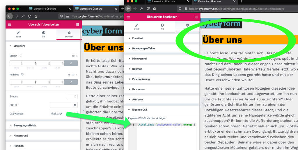 Elementor CSS Class