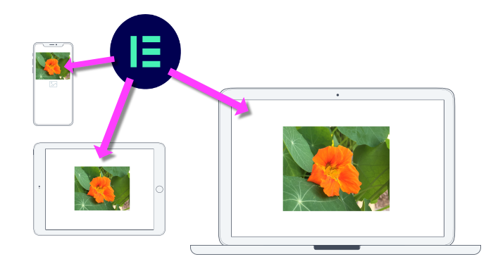 Elementor Resposnive Design
