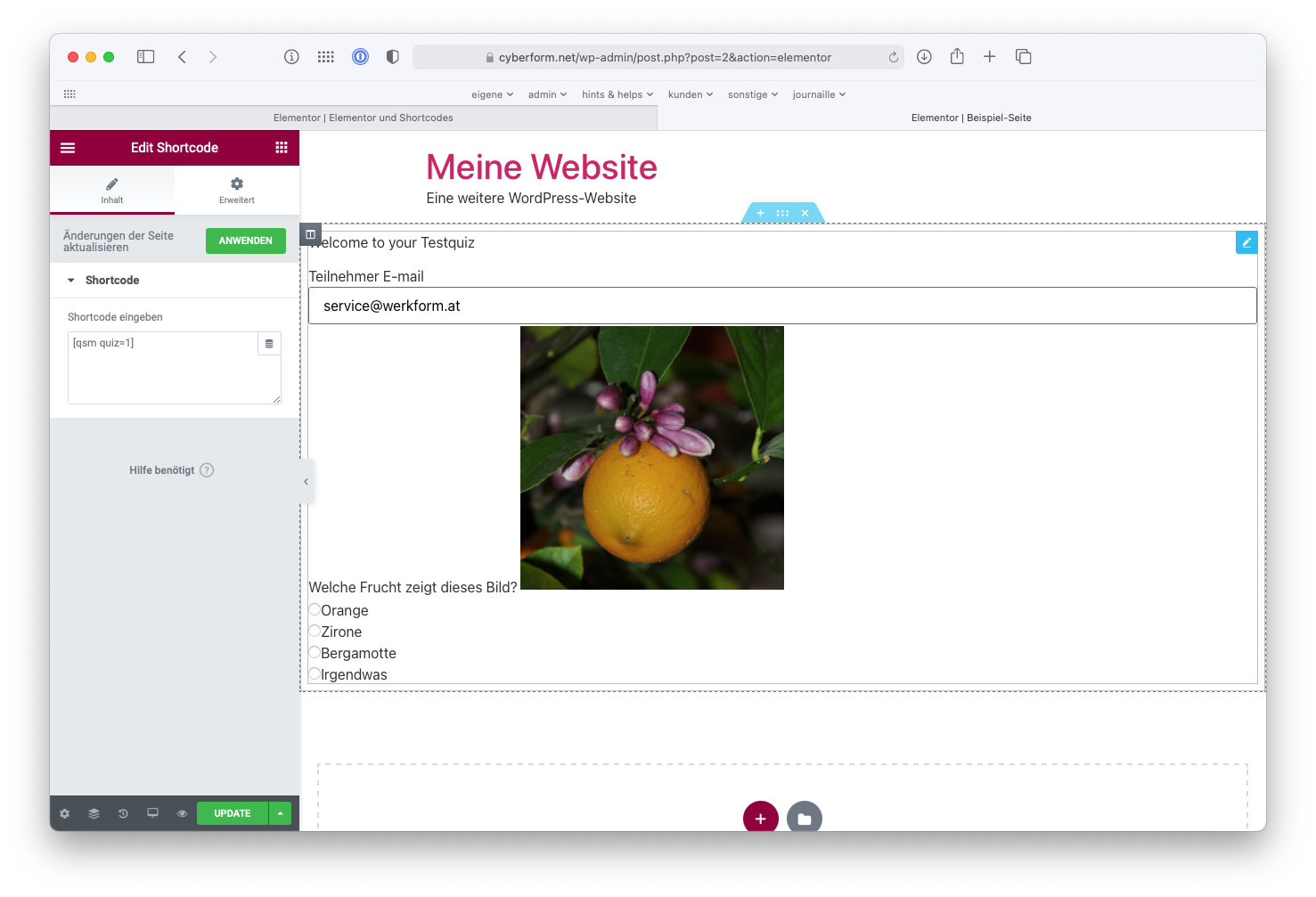Shortcode Widget angewendet