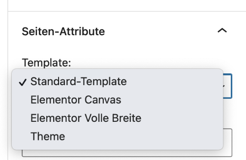 Seiten-Attribute