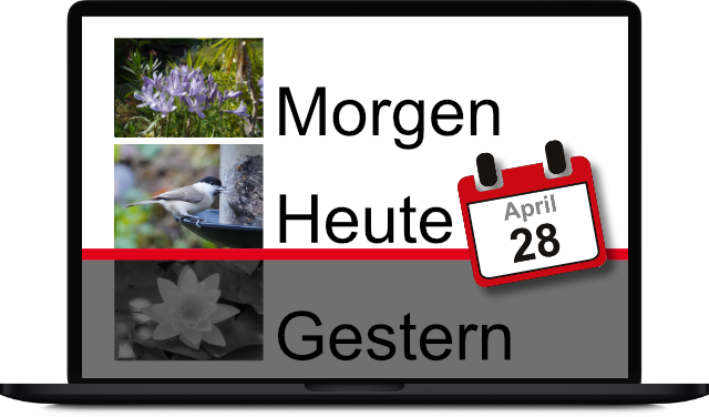 Beiträge mit Stichtag