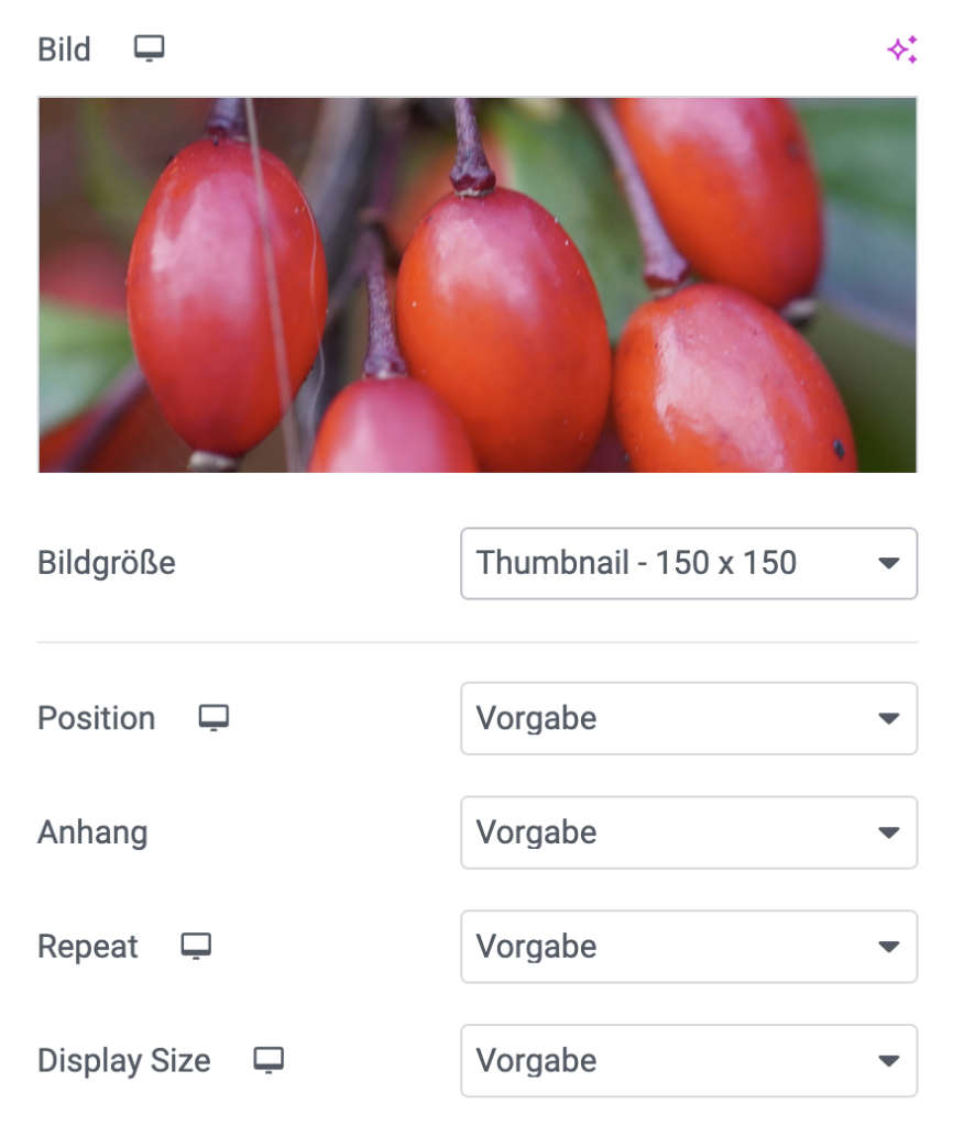 Hintergrund Bild Panel Elementor