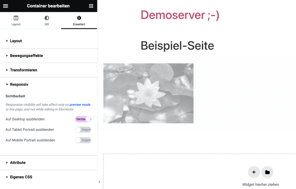Elementor responsive ausgeblendet