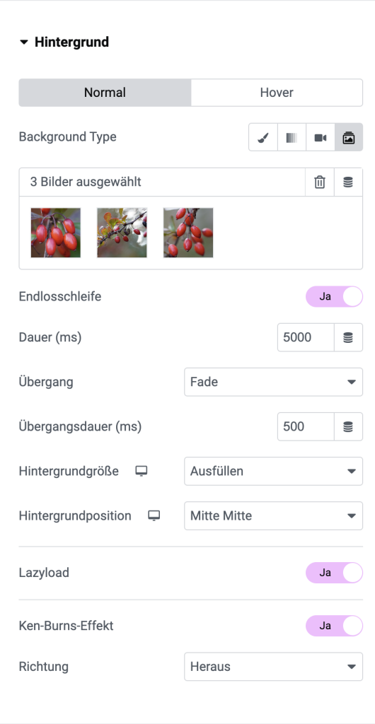Elementor Slideshow Hintergrund