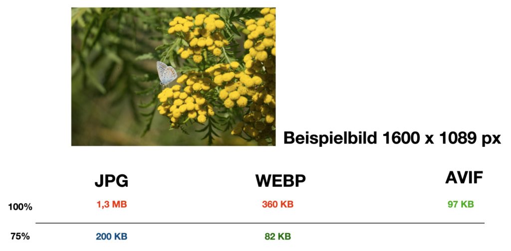 Bildformatvergleich