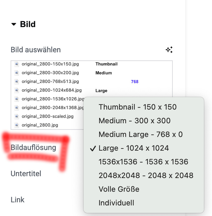 Bildauflösung einstellen